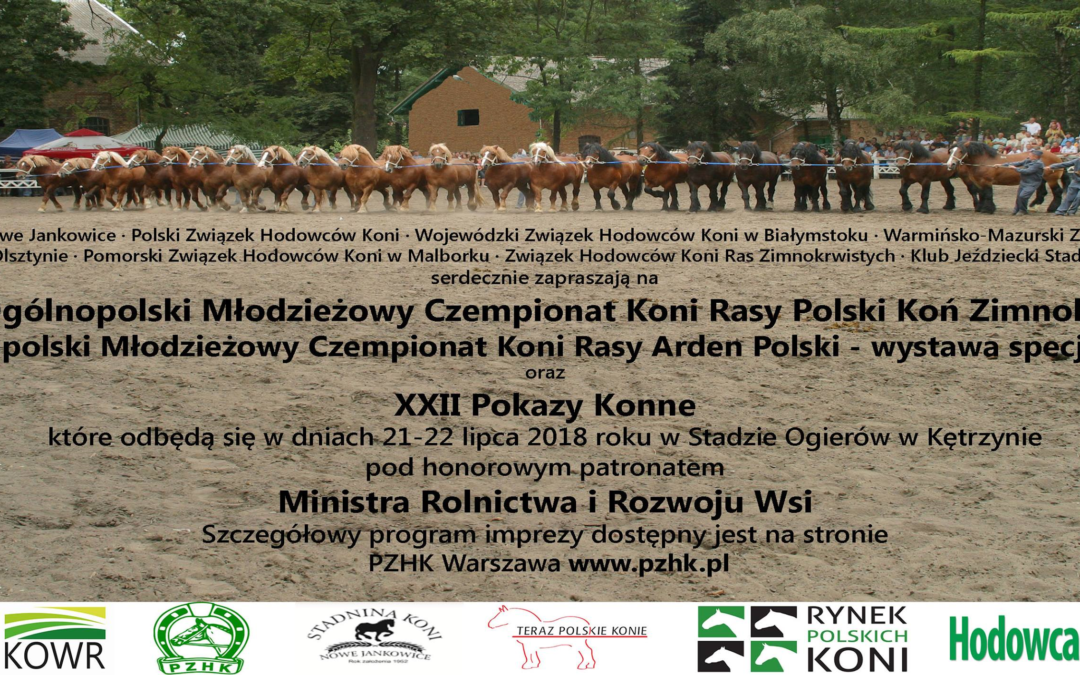 XVII Ogólnopolski Czempionat Koni Rasy Polski Koń Zimnokrwisty