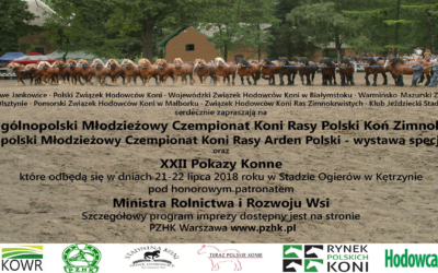 XVII Ogólnopolski Czempionat Koni Rasy Polski Koń Zimnokrwisty