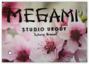 MEGAMI LOGO