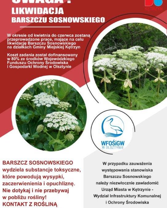 Informacja o Barszczu Sosnowskiego