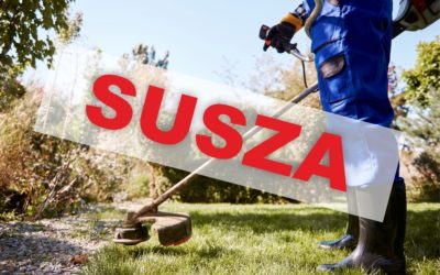 Ograniczenie koszenia traw w Kętrzynie