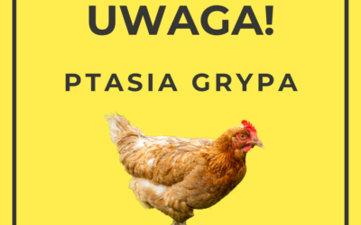 Uwaga – informacja w sprawie ogniska ptasiej grypy