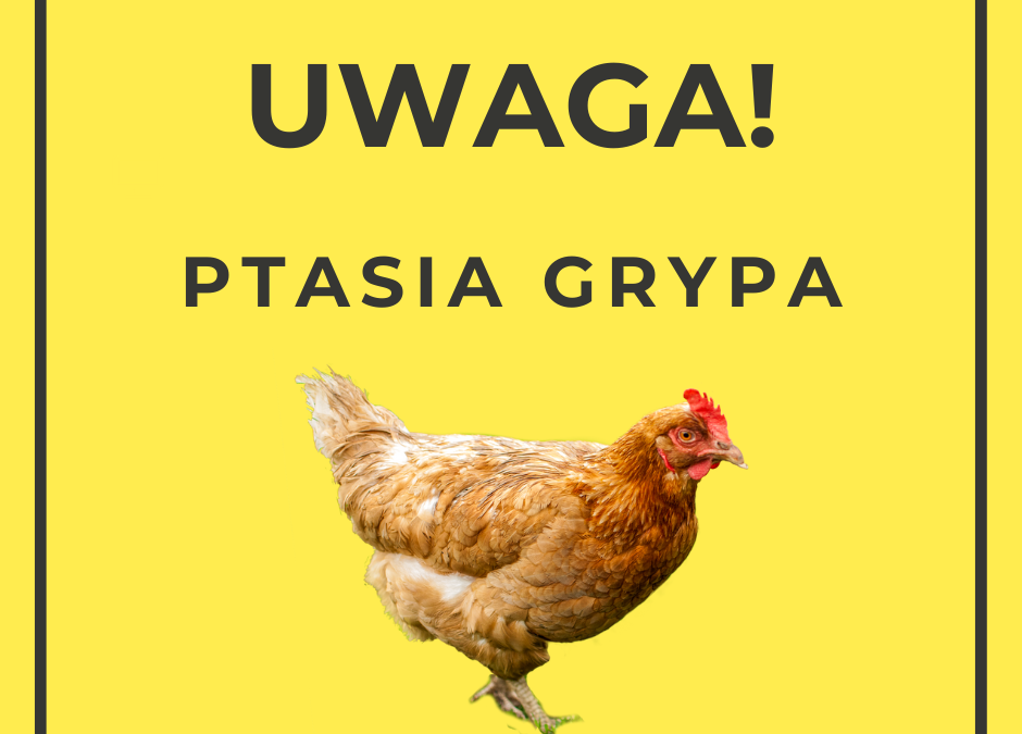 Uwaga – informacja w sprawie ogniska ptasiej grypy